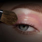 BLJ Black Brown Makeup Brush Set