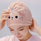 Cute Cat Hair Drying Towel