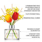 COCODOR Tulip Diffuser / 200ml (6.7oz) [Mango Jasmine]