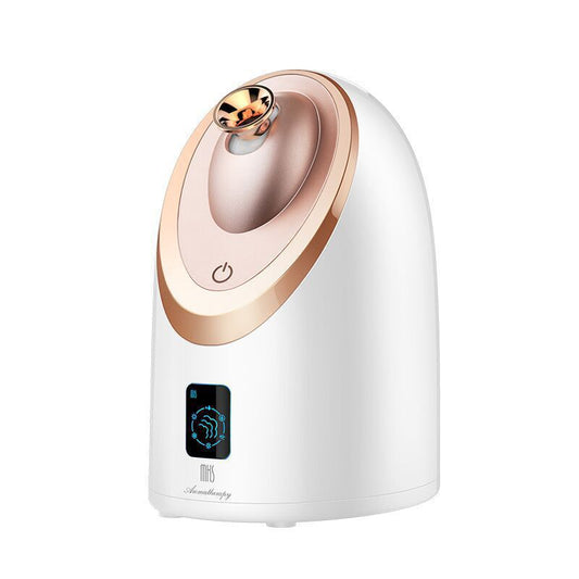 Facial Steamer Hot & Cold Nano Mist Sprayer